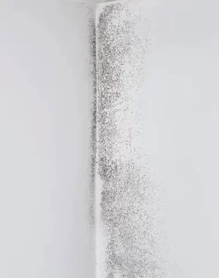 Mold Prevention in indoor