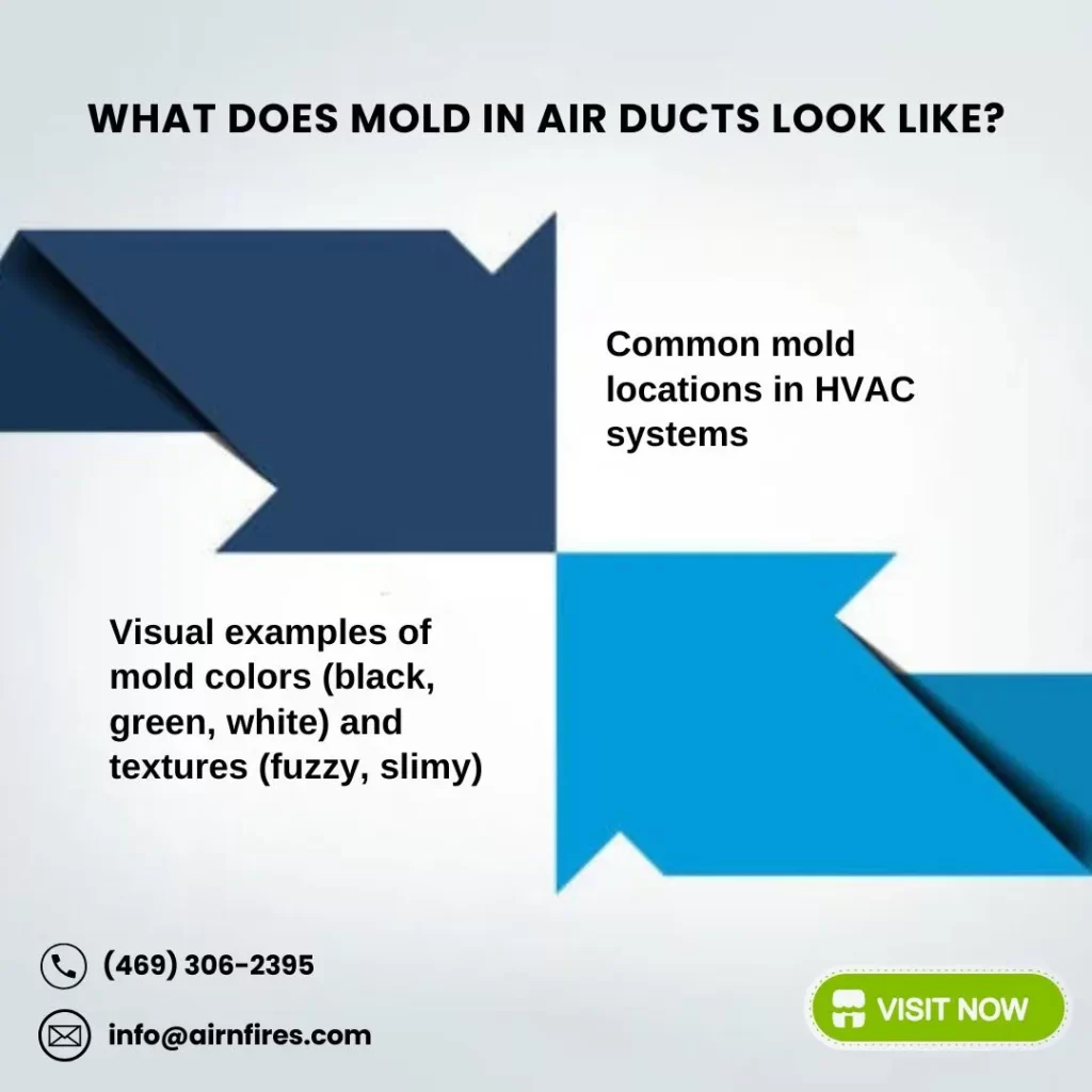 Infographic showing mold in air ducts including mold colors, textures, HVAC mold locations, and contact info for air duct cleaning service.