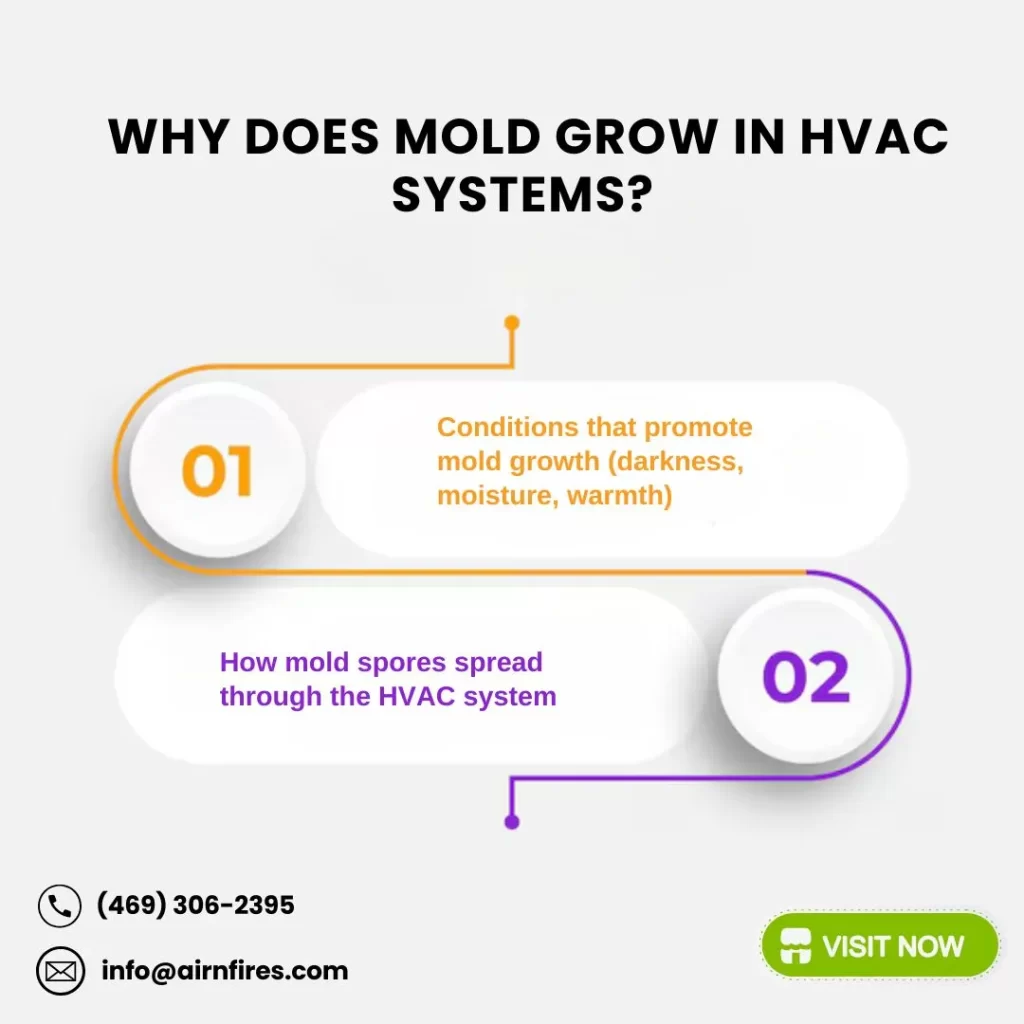 Infographic explaining the reasons for mold growth in HVAC systems, including conditions like moisture, darkness, warmth, and how spores spread.