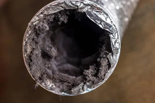 Mold in Air Ducts: Facts, Signs, and How to Deal with It